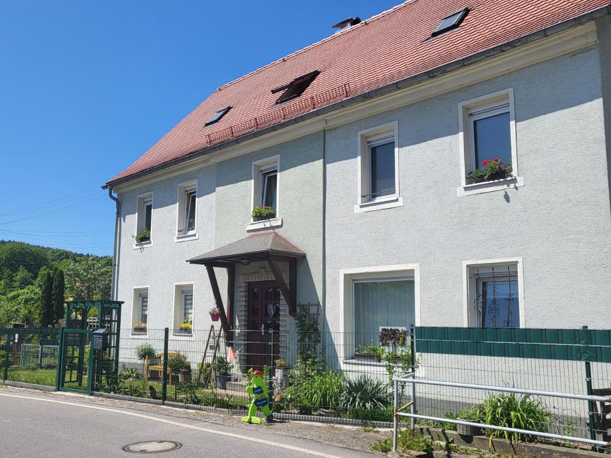 Ferienwohnung Simmert Kurort Gohrisch Exterior photo